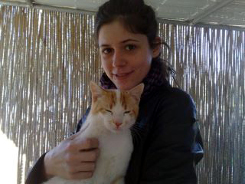 Ark cat Galidoula rehomed photo