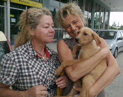 Ark dog Tom rehomed photo
