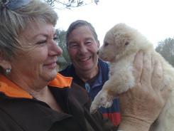 Ark dog Little Bear rehomed photo