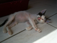 Baby Carly photo
