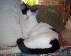 Carly on sofa photo
