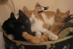 Molly & family photo