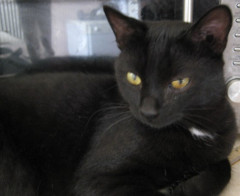 Monty photo