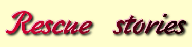Rescue stories header