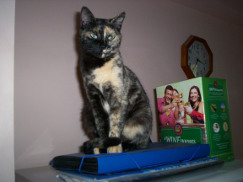 Smudge photo