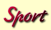 Sport header