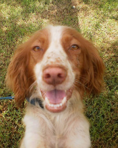 Early Sweetie photo