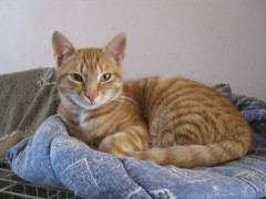 Timmy photo