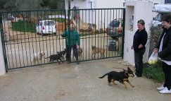 Villa Jomar photo