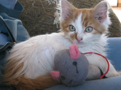 Zach and mouse photo