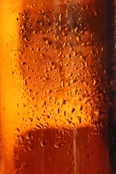 Beer photo
