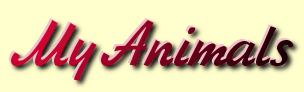 My Animals header